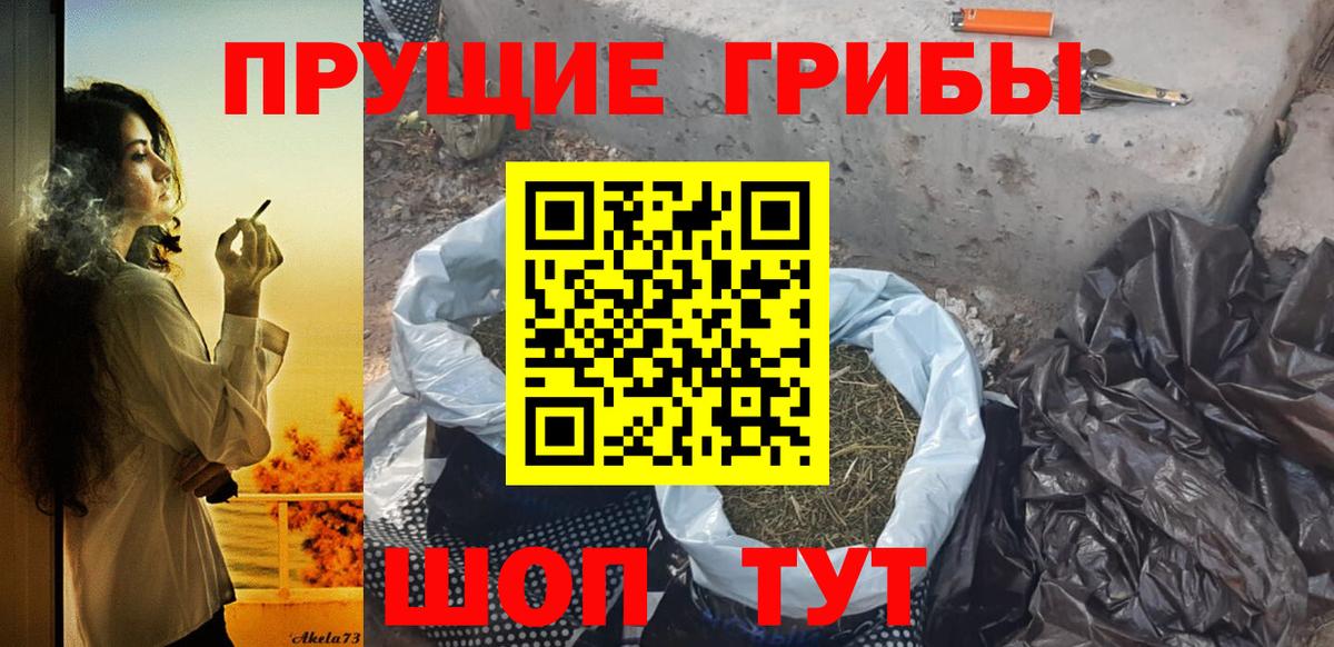 Шадринск  Псилоцибиновые грибы Psilocybe  Вход с VPN 